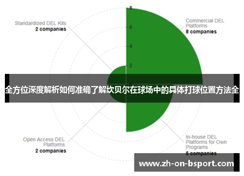 全方位深度解析如何准确了解坎贝尔在球场中的具体打球位置方法全