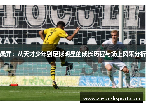 桑乔：从天才少年到足球明星的成长历程与场上风采分析