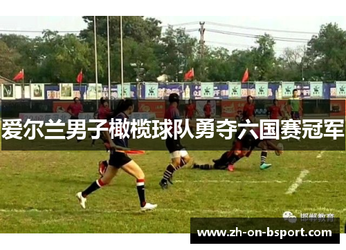 爱尔兰男子橄榄球队勇夺六国赛冠军