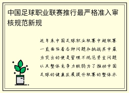 中国足球职业联赛推行最严格准入审核规范新规